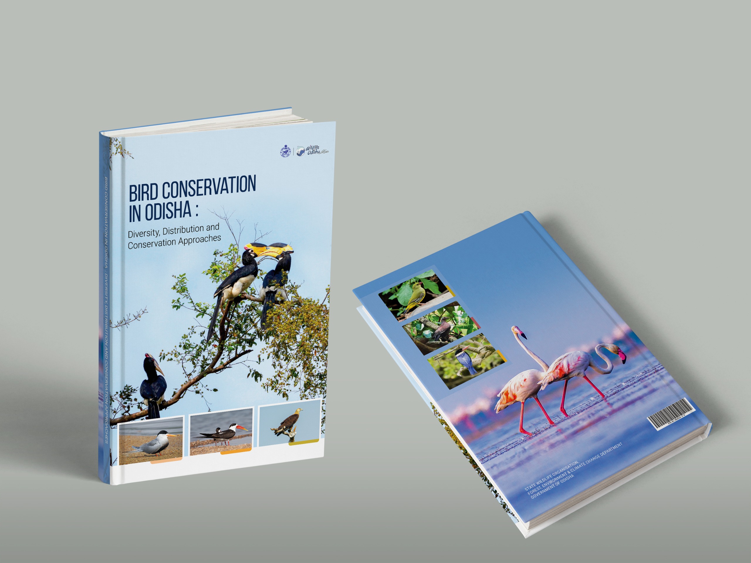 Protecting Our Winged Heritage: Bird Conservation in Odisha