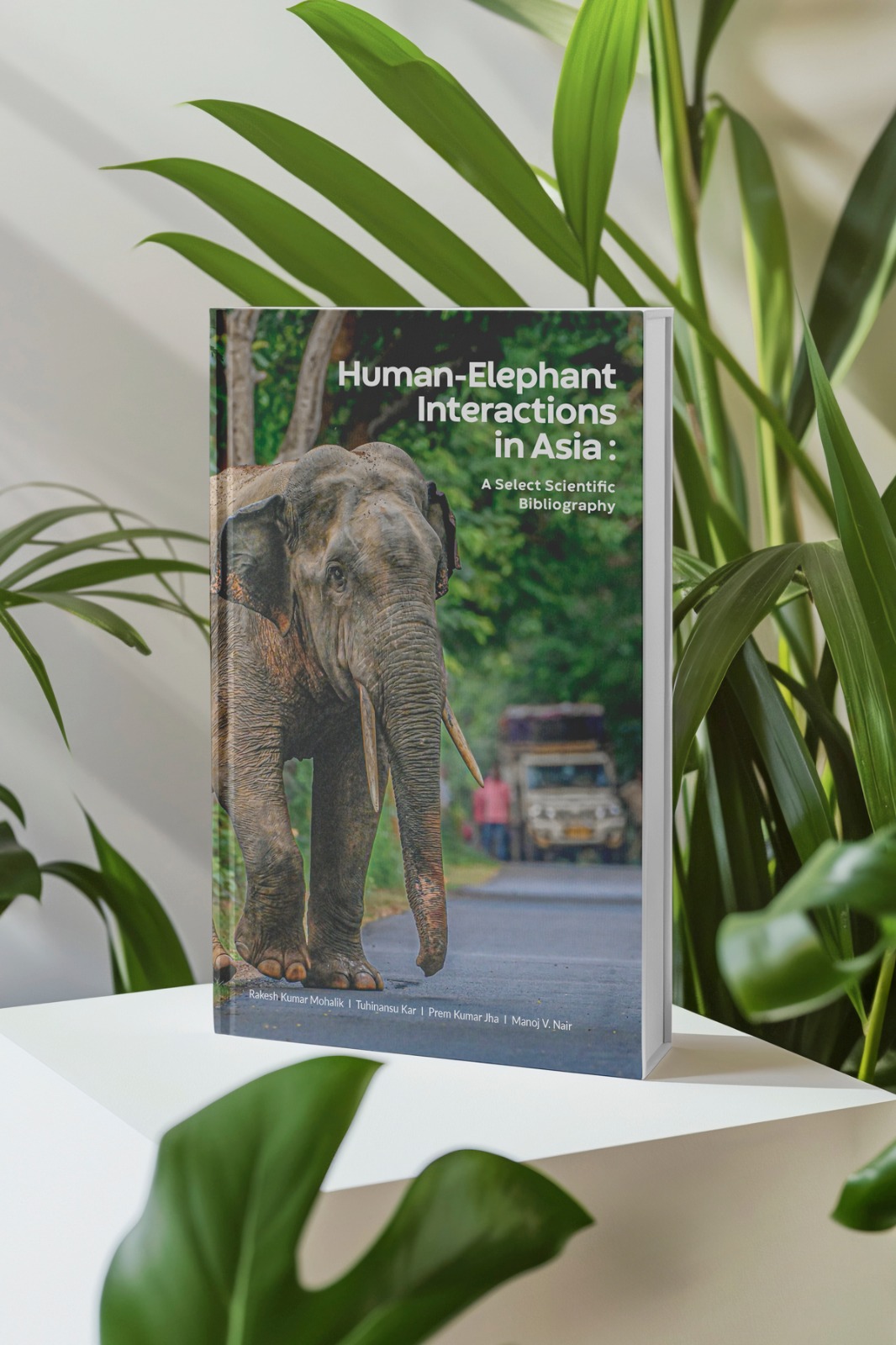Understanding Human–Elephant Interaction in Asia: 5 Key Perspectives